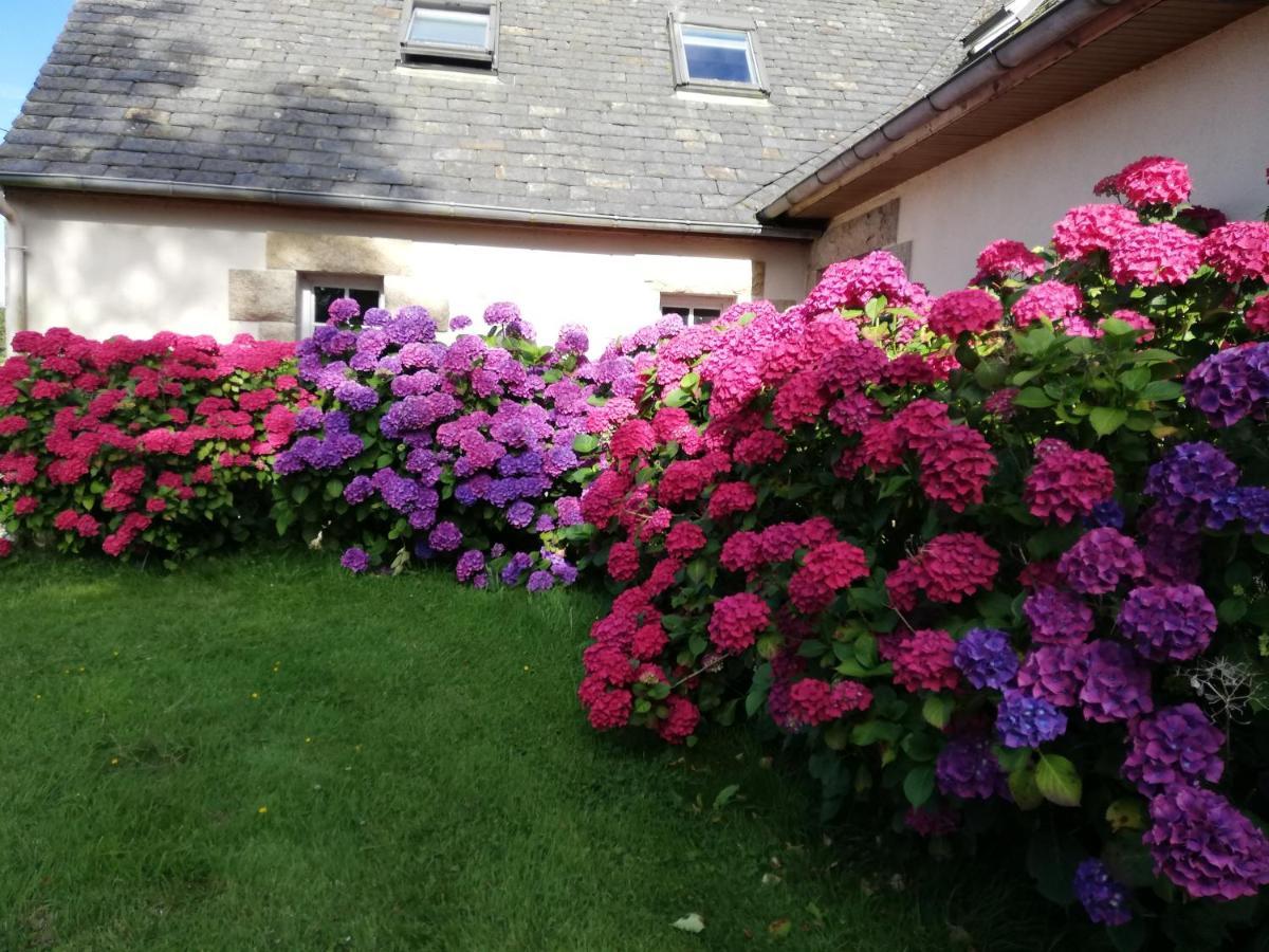 Bed and Breakfast Le Tregonnec, Pres De Morlaix, Roscoff Plouvorn Zewnętrze zdjęcie